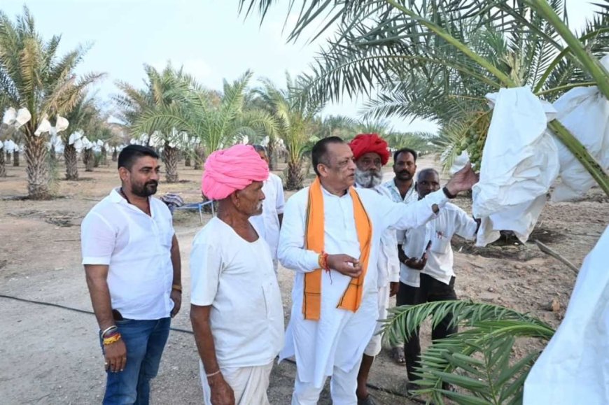 मरूभूमि में खजूर की खेती का कमाल