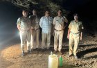 2 लाख 67 हजार लीटर से अधिक वाॅश नष्ट, 309 हुए गिरफ्तार