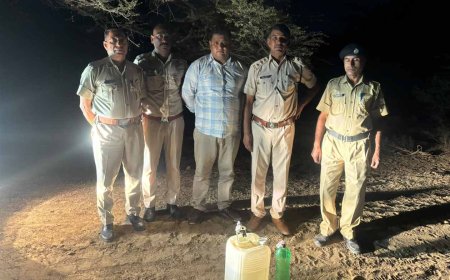 2 लाख 67 हजार लीटर से अधिक वाॅश नष्ट, 309 हुए गिरफ्तार