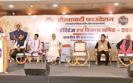 शेखावाटी में विरासत संरक्षण के साथ समग्र विकास कर रही सरकार